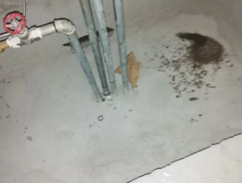 梅江卫生间测漏水价格明细